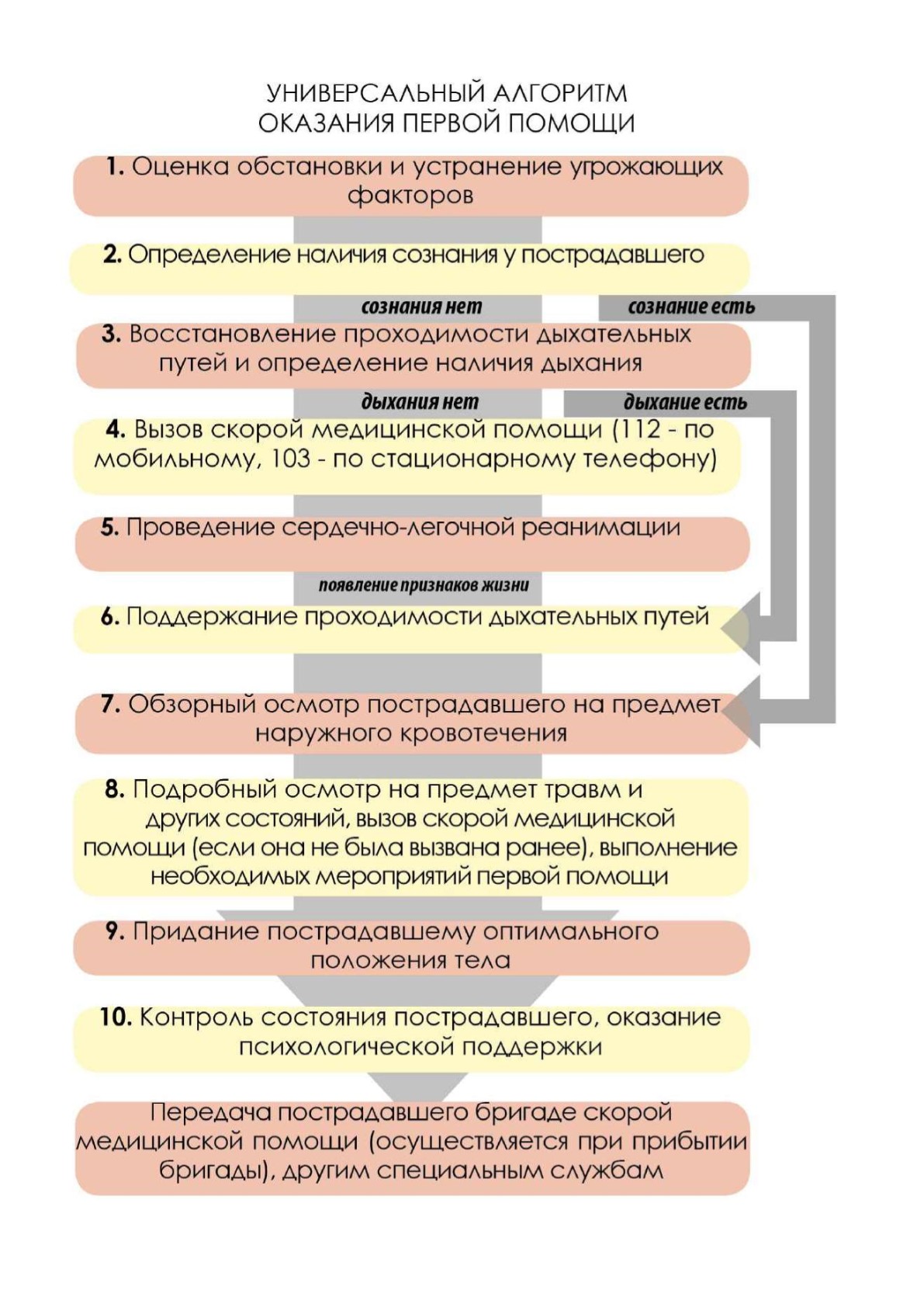 Универсальный алгоритм оказания первой помощи в картинках